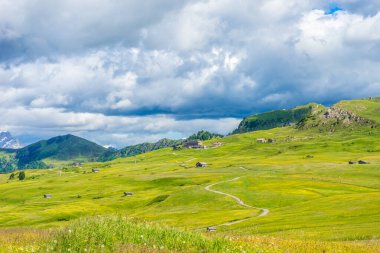 İtalya, Alpe di Siusi, Seiser Alm Sassolungo Langkofel Dolomite ile birlikte, arkasında dağ olan büyük yeşil bir tarla.