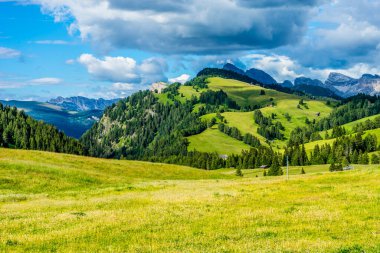 İtalya, Alpe di Siusi, Seiser Alm Sassolungo Langkofel Dolomite ile birlikte, arkasında dağ olan büyük yeşil bir tarla.