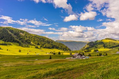 Alpe di Siusi, Seiser Alm ve Sassolungo Langkofel Dolomite, vadi kanyonundaki yemyeşil bir arazinin yakınlarındaydılar.