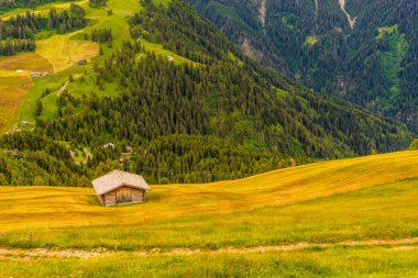 İtalya, Alpe di Siusi, Seiser Alm Sassolungo Langkofel Dolomite ile, tarlada eski bir ahır.