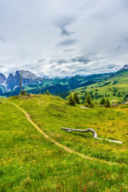 İtalya, Alpe di Siusi, Seiser Alm ve Sassolungo Langkofel Dolomite arka planda dağ olan bir tarla.
