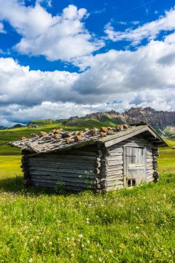 İtalya, Alpe di Siusi, Seiser Alm Sassolungo Langkofel Dolomite ile birlikte, otlak arazili büyük bir taş bina.