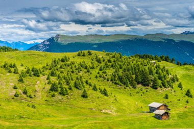 Alpe di Siusi, Seiser Alm Sassolungo Langkofel Dolomite ile birlikte Seiser Alm Puflatsch Bullaccia 'da yemyeşil alan.