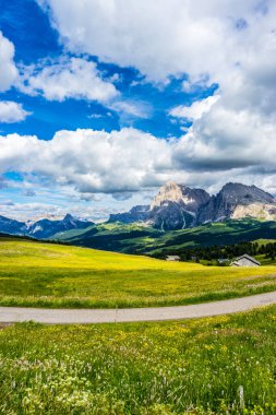 Alpe di Siusi, Seiser Alm Sassolungo Langkofel Dolomite ile birlikte, yemyeşil bir arazi panoramasında yayan bir yürüyüş yolu.