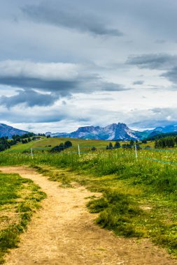 Alpe di Siusi, Seiser Sadm Sassolungo Langkofel Dolomite ile, çimenli bir tepede yürüyüş yolu.