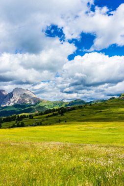 İtalya, Alpe di Siusi, Seiser Alm Sassolungo Langkofel Dolomite ile birlikte, arkasında dağ olan büyük yeşil bir tarla.