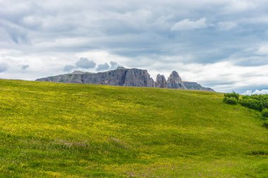 İtalya, Alpe di Siusi, Seiser Alm ve Sassolungo Langkofel Dolomite. Arka planda ağaçlar olan büyük yeşil bir alan.