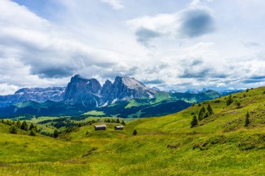 İtalya, Alpe di Siusi, Seiser Alm Sassolungo Langkofel Dolomite ile birlikte, arkasında dağ olan büyük yeşil bir tarla.