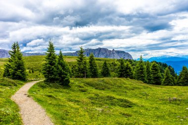 Alpe di Siusi, Seiser Alm Sassolungo Langkofel Dolomite ile birlikte, yemyeşil bir tarlada yayan bir yürüyüş yolu.