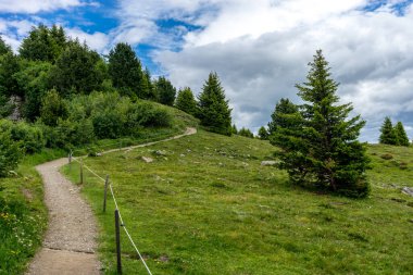 Alpe di Siusi, Seiser Alm Sassolungo Langkofel Dolomite ile birlikte, yemyeşil bir tarlada yayan bir yürüyüş yolu.