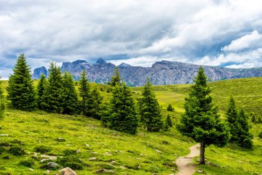 Alpe di Siusi, Seiser Alm Sassolungo Langkofel Dolomite ile birlikte, yemyeşil bir tarlada yayan bir yürüyüş yolu.