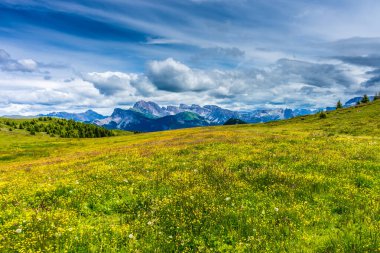 İtalya, Alpe di Siusi, Seiser Alm Sassolungo Langkofel Dolomite ile birlikte, arkasında dağ olan büyük yeşil bir tarla.