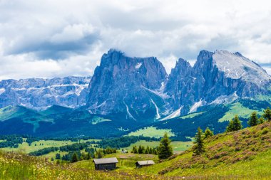 İtalya, Alpe di Siusi, Seiser Alm ve Sassolungo Langkofel Dolomite arka planda büyük bir dağ.