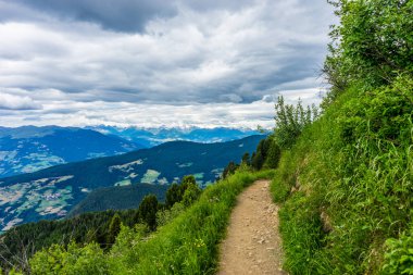 İtalya, Alpe di Siusi, Seiser Alm ve Sassolungo Langkofel Dolomite, dağın yamacında ağaçların olduğu bir patika.
