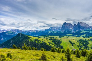 İtalya, Alpe di Siusi, Seiser Alm ve Sassolungo Langkofel Dolomite arka planda dağ olan bir tarla.