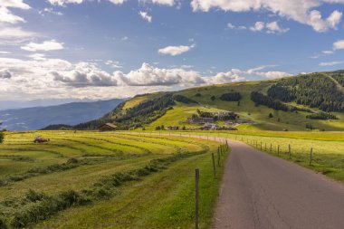 Alpe di Siusi, Seiser Alm Sassolungo Langkofel Dolomite ile birlikte, yemyeşil bir arazi panoramasında yayan bir yürüyüş yolu.