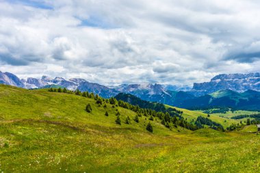 İtalya, Alpe di Siusi, Seiser Alm Sassolungo Langkofel Dolomite ile birlikte, arkasında dağ olan büyük yeşil bir tarla.