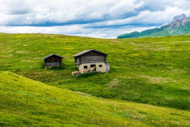 İtalya, Alpe di Siusi, Seiser Alm Sassolungo Langkofel Dolomite ile birlikte, arkasında dağ olan büyük yeşil bir tarla.