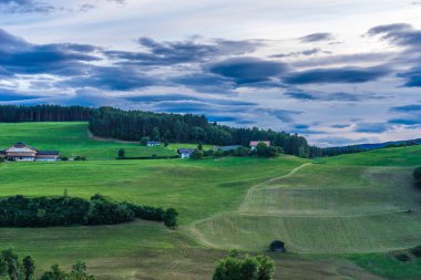 Alpe di Siusi, Seiser Alm ve Sassolungo Langkofel Dolomite. Arkasında ağaçlar olan büyük yeşil bir alan.