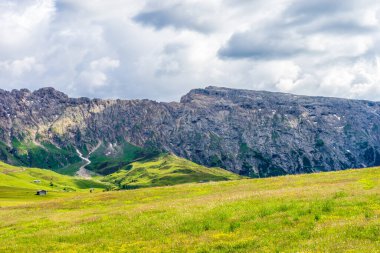 İtalya, Alpe di Siusi, Seiser Alm Sassolungo Langkofel Dolomite ile birlikte, arkasında dağ olan büyük yeşil bir tarla.