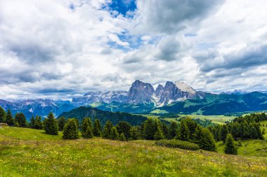İtalya, Alpe di Siusi, Seiser Alm Sassolungo Langkofel Dolomite ile birlikte, arkasında dağ olan büyük yeşil bir tarla.