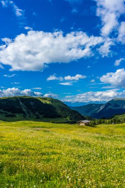 İtalya, Alpe di Siusi, Seiser Alm ve Sassolungo Langkofel Dolomite arka planda dağ olan bir tarla.