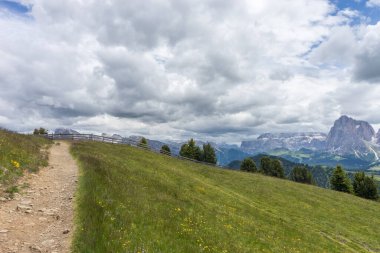 Alpe di Siusi, Seiser Alm Sassolungo Langkofel Dolomite ile birlikte, yemyeşil bir tarlada yayan bir yürüyüş yolu.