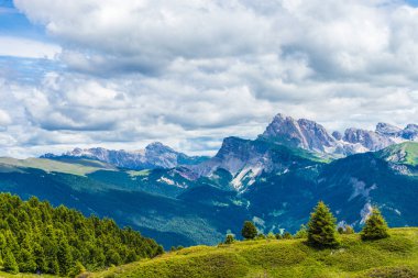 İtalya, Alpe di Siusi, Seiser Alm Sassolungo Langkofel Dolomite ile birlikte, arkasında dağ olan büyük yeşil bir tarla.
