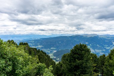 İtalya, Alpe di Siusi, Seiser Alm Sassolungo Langkofel Dolomite ile birlikte arka planda dağ olan bir ağaç.