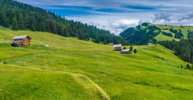 Alpe di Siusi, Seiser Sadm ve Sassolungo Langkofel Dolomite, yemyeşil bir arazinin yakın çekimi.