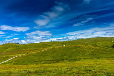 Alpe di Siusi, Seiser Sadm ve Sassolungo Langkofel Dolomite, yemyeşil bir tarlada dolambaçlı bir yol.