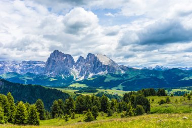 İtalya, Alpe di Siusi, Seiser Alm Sassolungo Langkofel Dolomite ile birlikte, arkasında dağ olan büyük yeşil bir tarla.