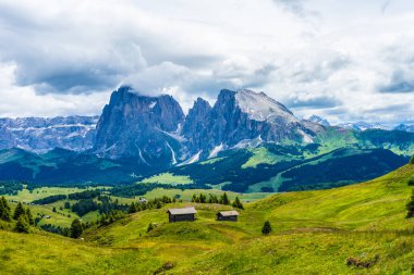 İtalya, Alpe di Siusi, Seiser Alm ve Sassolungo Langkofel Dolomite arka planda Dolomitlerin olduğu bir alan.