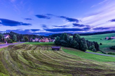 İtalya, Alpe di Siusi, Seiser Alm Sassolungo Langkofel Dolomite ile birlikte, yemyeşil bir tarlaya yakın çekim.