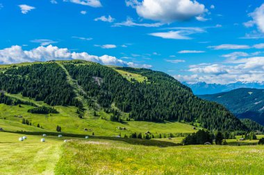 Alpe di Siusi, Seiser Alm ve Sassolungo Langkofel Dolomite, vadi kanyonundaki yemyeşil bir arazinin yakınlarındaydılar.