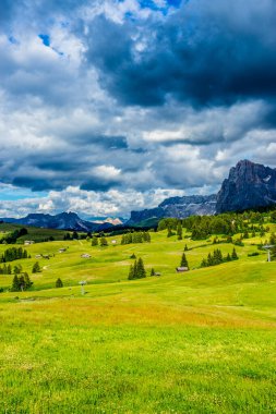 İtalya, Alpe di Siusi, Seiser Alm Sassolungo Langkofel Dolomite ile birlikte, arkasında dağ olan büyük yeşil bir tarla.