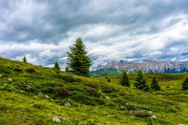 Alpe di Siusi, Seiser Sadm ve Sassolungo Langkofel Dolomite, vadi kanyonundaki yemyeşil bir arazinin yakın çekimi.