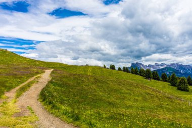 İtalya, Alpe di Siusi, Seiser Alm ve Sassolungo Langkofel Dolomite, çimenli bir tepe manzarası.