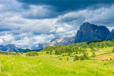 İtalya, Alpe di Siusi, Seiser Alm Sassolungo Langkofel Dolomite ile birlikte, arkasında dağ olan büyük yeşil bir tarla.