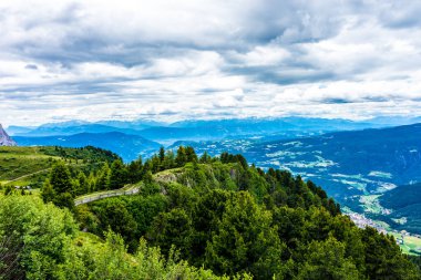İtalya, Alpe di Siusi, Seiser Alm Sassolungo Langkofel Dolomite ile birlikte arka planda dağ olan bir ağaç.