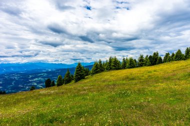 İtalya, Alpe di Siusi, Seiser Alm ve Sassolungo Langkofel Dolomite. Arka planda ağaçlar olan büyük yeşil bir alan.