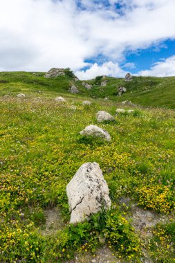 Alpe di Siusi, Seiser Sadm ve Sassolungo Langkofel Dolomite, vadi kanyonundaki yemyeşil bir arazinin yakın çekimi.