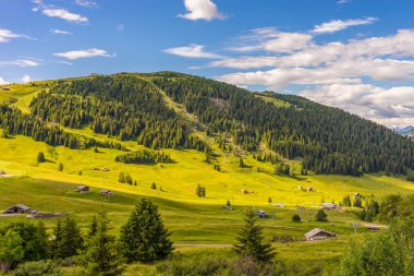 Alpe di Siusi, Seiser Alm ve Sassolungo Langkofel Dolomite, vadi kanyonundaki yemyeşil bir arazinin yakınlarındaydılar.