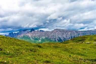 İtalya, Alpe di Siusi, Seiser Alm Sassolungo Langkofel Dolomite ile birlikte, arkasında dağ olan büyük yeşil bir tarla.