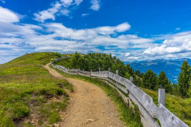 Alpe di Siusi, Seiser Alm Sassolungo Langkofel Dolomite ile birlikte, yemyeşil bir tarlada yayan bir yürüyüş yolu.