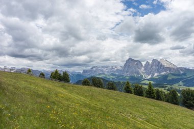 İtalya, Alpe di Siusi, Seiser Alm ve Sassolungo Langkofel Dolomite. Arka planda dağ olan bir ev.