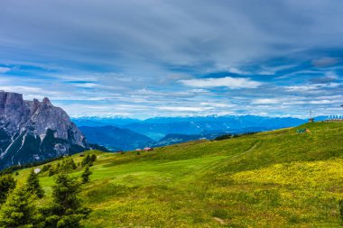 İtalya, Alpe di Siusi, Seiser Alm Sassolungo Langkofel Dolomite ile birlikte, arkasında dağ olan büyük yeşil bir tarla.