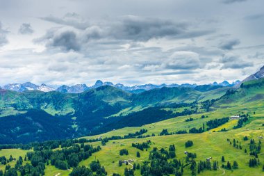 Alpe di Siusi, Seiser Alm Sassolungo Langkofel Dolomite ile birlikte Seiser Alm Puflatsch Bullaccia 'da yemyeşil alan.