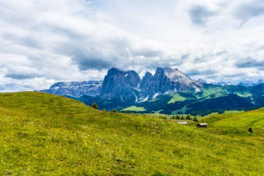 İtalya, Alpe di Siusi, Seiser Alm Sassolungo Langkofel Dolomite ile birlikte, arkasında dağ olan büyük yeşil bir tarla.