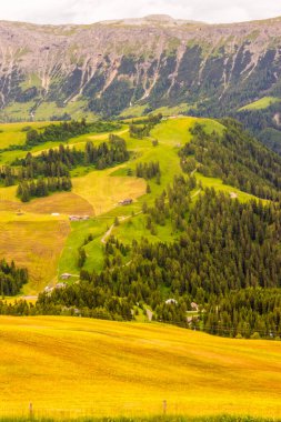 İtalya, Alpe di Siusi, Seiser Alm Sassolungo Langkofel Dolomite ile birlikte, arkasında dağ olan büyük yeşil bir tarla.
